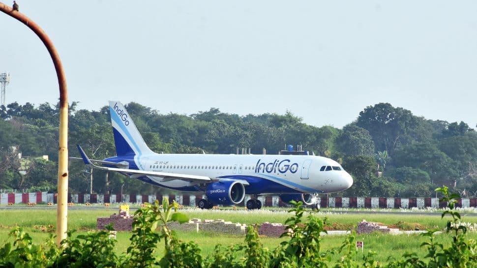 IndiGo Tiruchirappalli-Singapore Flight Diverted To Indonesia Due To ‘Burning Smell’ In Cabin | Aviation News
