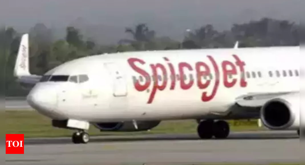 Spicejet: SpiceJet launches BagProtekt for flyers hassled by delayed or missing baggage