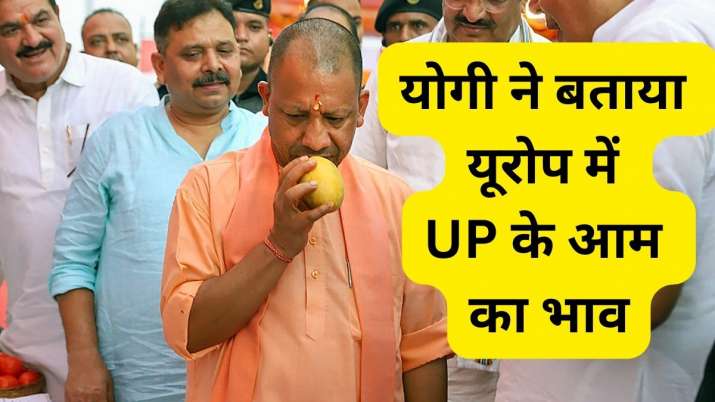 योगी आदित्यनाथ ने बताया विदेशों में कितने का बिकता है UP का आम, भेजने में आता है सिर्फ 190 रुपये का खर्च