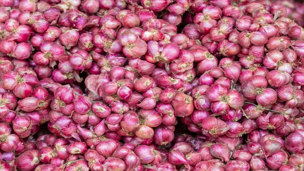 Onion Price Today: 100 रुपये पहुंचेगी प्याज की कीमत? दिल्ली में एक दिन में इतना बढ़ गया रेट