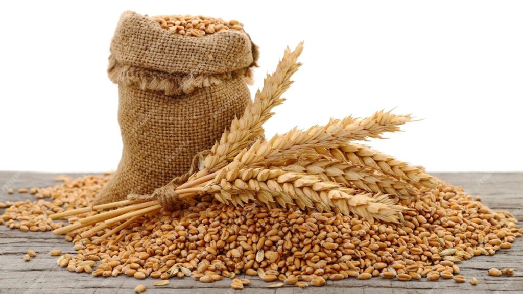 रोटी न हो महंगी सरकार ने किया इसका इंतजाम, गेहूं स्टॉक रखने के मानदंडों को कर दिया सख्त