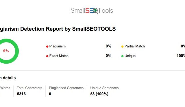 plagiarism detection report